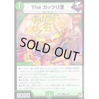 Theガッツリ漢【R】{RP0726/94}《自然》