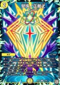 堅珠ノ正裁Z【R】{RP0713/94}《光》