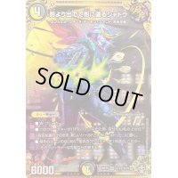 〔状態B〕影より出でて影に還るシャドウ【SE】{RP15秘13/秘15}《多》