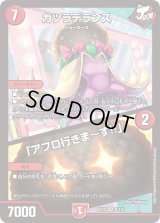 〔状態C〕カツラデランス/「アフロ行きま〜す!!」【VR】{EX128/110}《火》