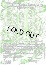 〔状態C〕界王類邪龍目ザ=デッドブラッキオ【SR】{EX12DR4/DR6}《自然》