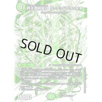 〔状態C〕界王類邪龍目ザ=デッドブラッキオ【SR】{EX12DR4/DR6}《自然》
