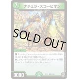 ナチュラ・スコーピオン【R】{RP1323/95}《自然》