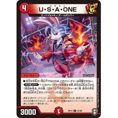 画像1: (パラ仕様)U・S・A・ONE【U】{RP1441/95}《火》