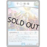 (パラ仕様)十・二・神・騎【C】{RP1466/95}《水》