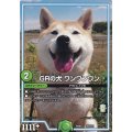 GRの犬ワンワンワン【-】{EX08251/???}《GR》