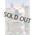 〔状態A-〕GRの犬ワンワンワン【-】{EX08251/???}《GR》
