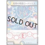 知識の精霊ロードリエス【R】{EX08287/???}《多》
