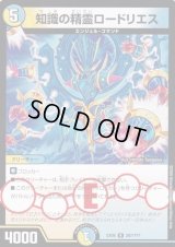 知識の精霊ロードリエス【R】{EX08287/???}《多》