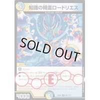 知識の精霊ロードリエス【R】{EX08287/???}《多》
