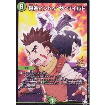画像1: 〔状態A-〕爆進イントゥ・ザ・ワイルド【R】{P48/Y18}《自然》