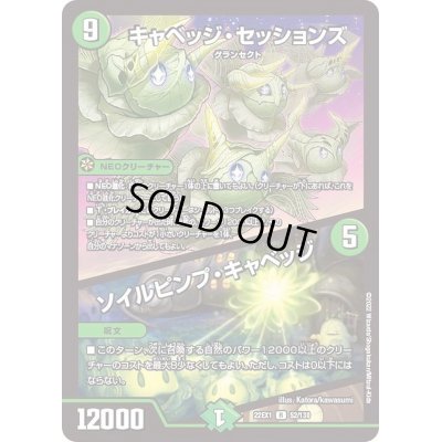 画像1: キャベッジ・セッションズ/ソイルピンプ・キャベッジ【R】{22EX152/130}《自然》