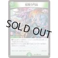 桜舞う門出【U】{22EX196/130}《自然》