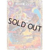 〔状態C〕烈火大聖ソンクン【VR】{22RP110A/20}《火》