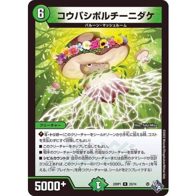 コウバシポルチーニダケ【R】{22RP123/74}《自然》