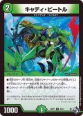 〔状態A-〕キャディ・ビートル【U】{22RP149/74}《自然》