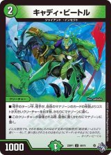 〔状態B〕キャディ・ビートル【U】{22RP149/74}《自然》