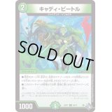 〔状態B〕キャディ・ビートル【U】{22RP149/74}《自然》