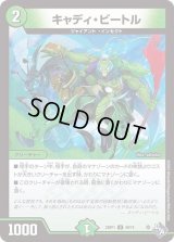 〔状態B〕キャディ・ビートル【U】{22RP149/74}《自然》