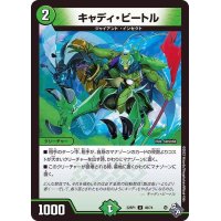 〔状態B〕キャディ・ビートル【U】{22RP149/74}《自然》