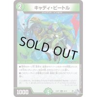 〔状態B〕キャディ・ビートル【U】{22RP149/74}《自然》
