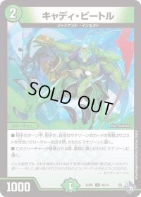 〔状態B〕キャディ・ビートル【U】{22RP149/74}《自然》