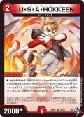 U・S・A・HOKKEEN【C】{22RP167/74}《火》
