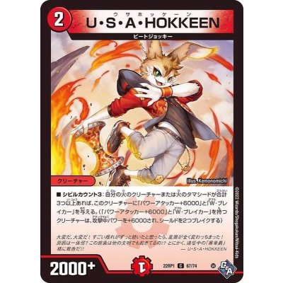 画像1: U・S・A・HOKKEEN【C】{22RP167/74}《火》
