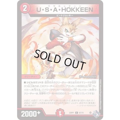 画像1: U・S・A・HOKKEEN【C】{22RP167/74}《火》