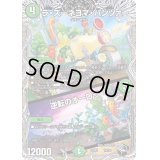ラ・ズーネヨマ・パンツァー/逆転のオーロラ【-】{22RP1T4/T20}《自然》