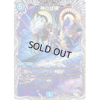 画像1: 〔状態A-〕神の試練【VR】{22RP1TR8/TR10}《水》