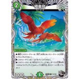 極楽鳥【R】{22RP2T12/T20}《自然》