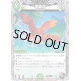 〔状態B〕極楽鳥【R】{22RP2T12/T20}《自然》