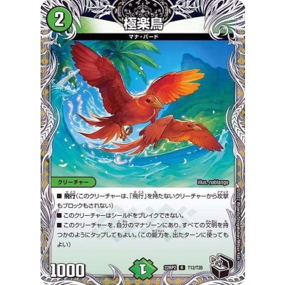 画像1: 極楽鳥【R】{22RP2T12/T20}《自然》
