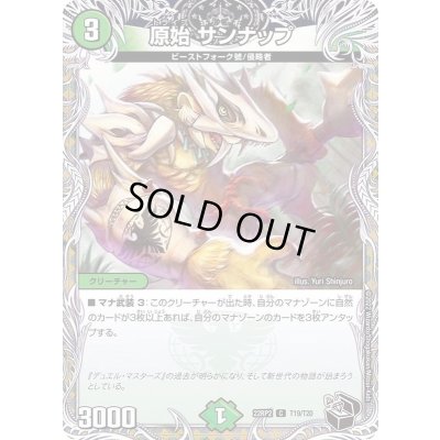 画像1: 原始サンナップ【C】{22RP2T19/T20}《自然》