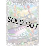 ラ・ズーネヨマ・パンツァー/逆転のオーロラ【-】{22RP2T3/T20}《自然》