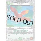 〔状態B〕極楽鳥【R】{22RP2TF12/TF20}《自然》