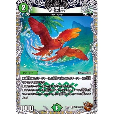 画像1: 極楽鳥【R】{22RP2TF12/TF20}《自然》