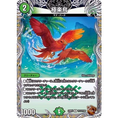極楽鳥【R】{22RP2TF12/TF20}《自然》
