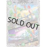 ラ・ズーネヨマ・パンツァー/逆転のオーロラ【-】{22RP2TF3/TF20}《自然》