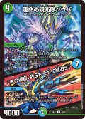 運命の親衛隊シウバ/「その運命、我らもそれに従おう」【R】{23EX145/84}《多》