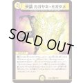 天装カガヤキ・ミガタメ【C】{23EX166/84}《光》