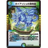 ガイアッシュの海地図【VR】{23EX232/112}《多》