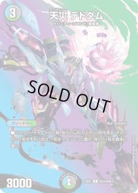 〔状態B〕天災デドダム【R】{23EX2超24/超38}《多》