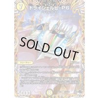 〔状態B〕トライシェルビ-P6【R】{23RP112A/20}《光》