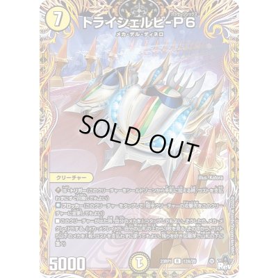 画像1: 〔状態B〕トライシェルビ-P6【R】{23RP112A/20}《光》