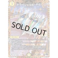 〔状態B〕トライシェルビ-P6【R】{23RP114B/22}《光》