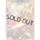 新星姫マルシドループ【SR】{23RP14B/22}《光》