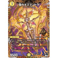 〔状態B〕聖カオスマントラ【OR】{23RP21B/22}《光》