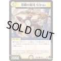 忍瞬の聖沌53nju【C】{23RP252/74}《光》